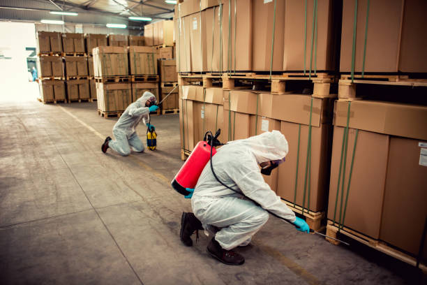 Best Pest Inspection Near Me  in Sixteen Mile Stand, OH