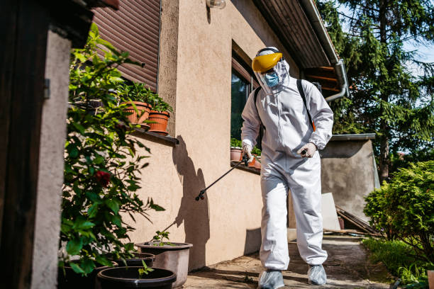 Best Pest Removal Services  in Sixteen Mile Stand, OH