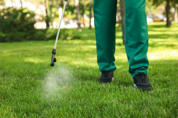 Best Mosquito Control Services  in Sixteen Mile Stand, OH