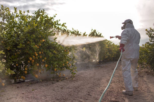 Best Affordable Pest Control Services  in Sixteen Mile Stand, OH