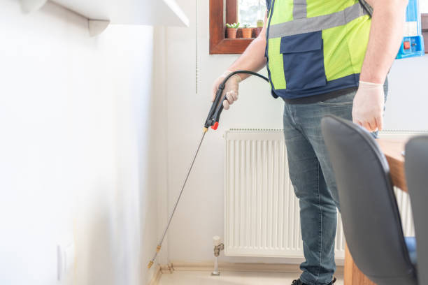 Best Ant Control Services  in Sixteen Mile Stand, OH